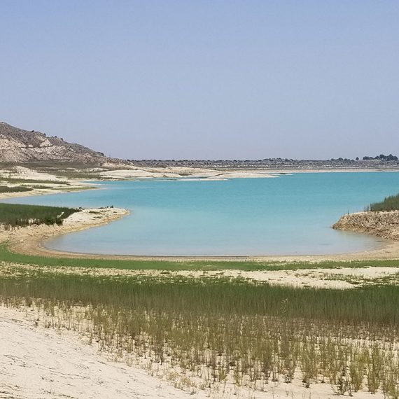 Beachview of the area near Casa Madroño