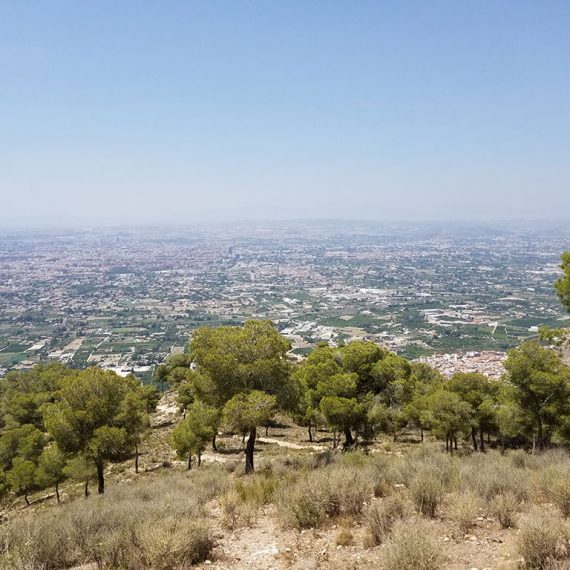View of the area from a mountainside
